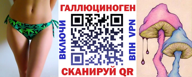 Псилоцибиновые грибы Psilocybe  omg как войти  Чердынь 